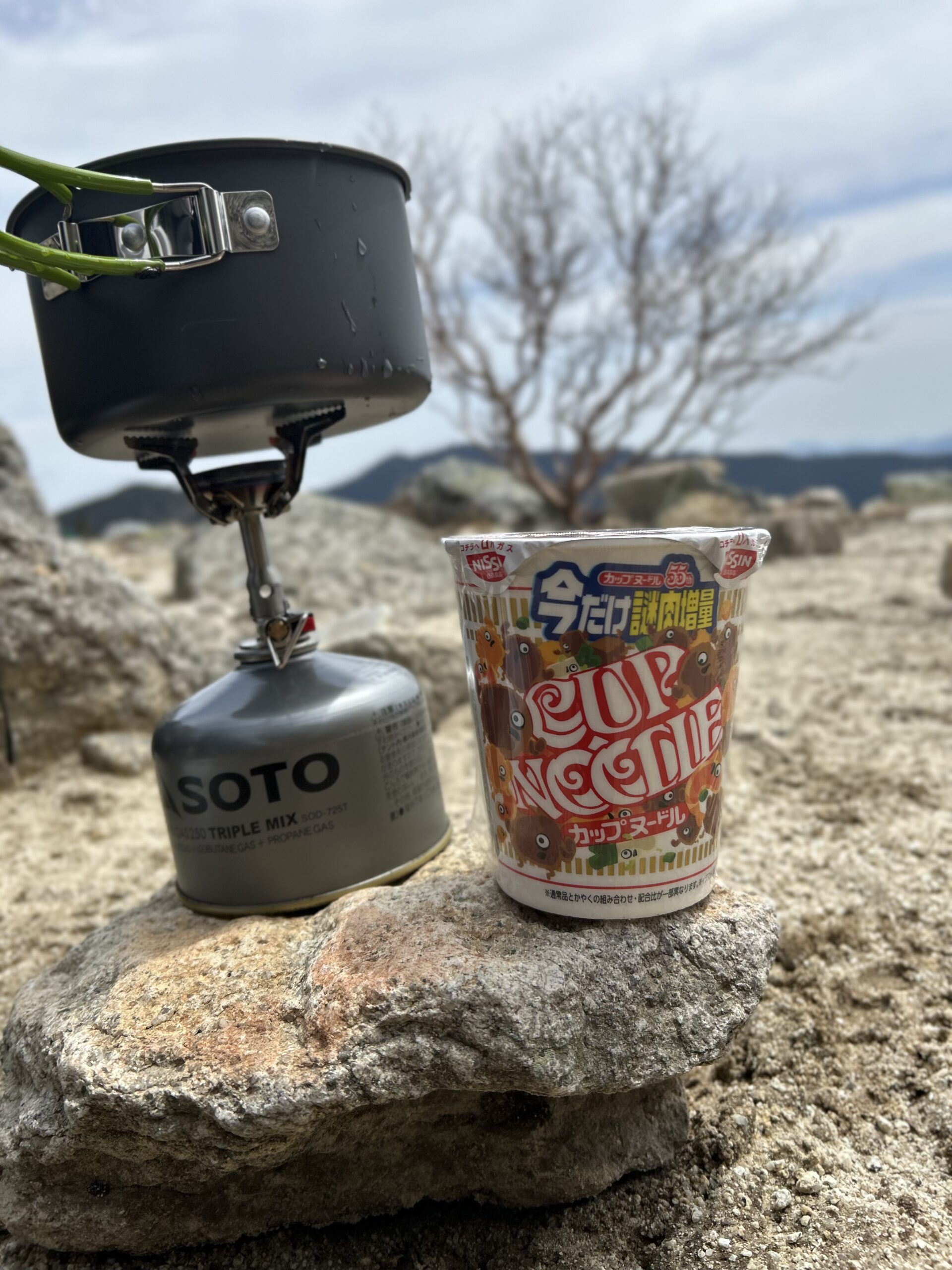 枯れ木と山並みを背景に、山頂で楽しむカップヌードル